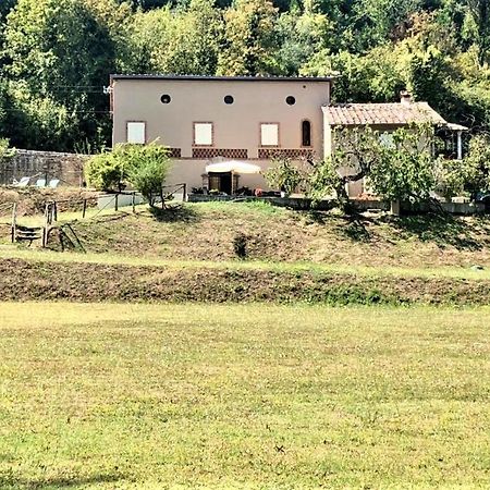 Villa Viola Lucca Exteriör bild