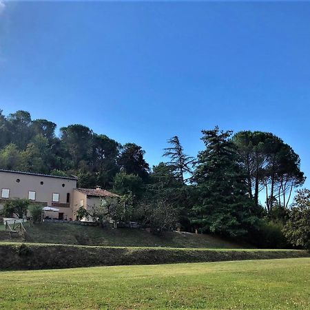 Villa Viola Lucca Exteriör bild