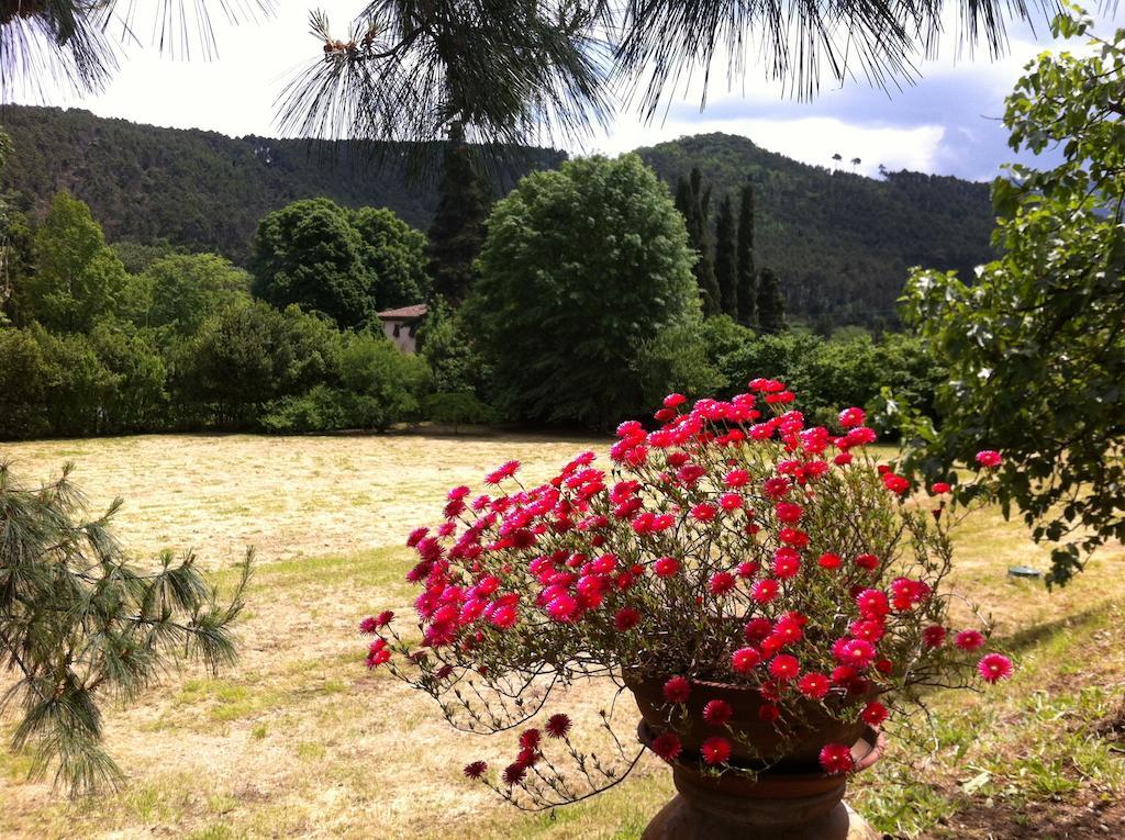 Villa Viola Lucca Exteriör bild