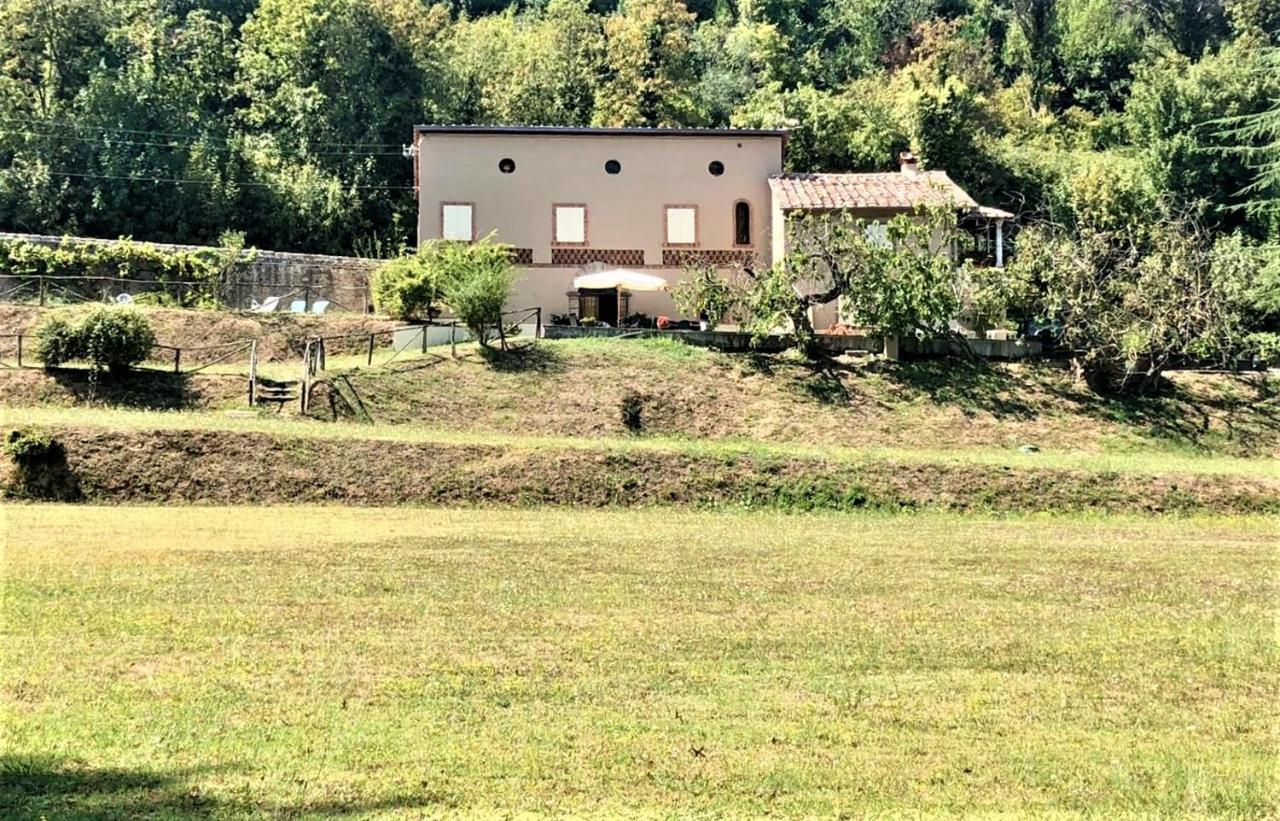 Villa Viola Lucca Exteriör bild